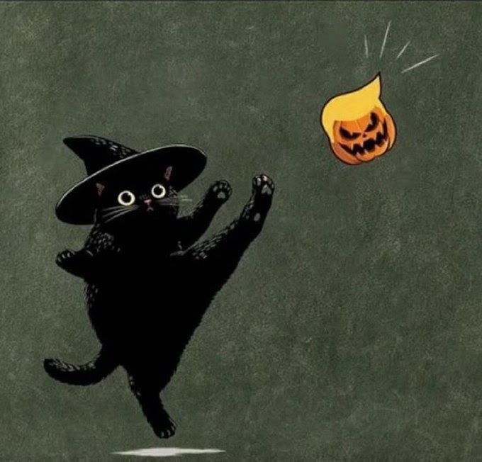 black cat  kicking pumpkin Trump
